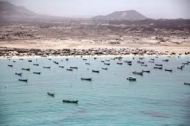 السلطة المحلية في شبوة تكشف عن تهريب المليشيات للأسلحة عبر سواحلها