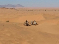 شبوة..القوات الحكومية تتقدم ميدانيا وتقترب من قطع اهم خطوط امداد المليشيات لبيحان