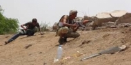 صورة من الارشيف