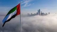 الإمارات تعلن إحباط هجوم جديد للحوثيين على أراضيها
