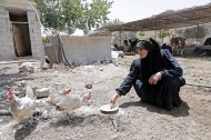 البنك الدولي يقدم منحة لليمن بقيمة 150 مليون دولار