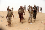 القوات الحكومية تسيطر على منطقة الهاملي غربي تعز